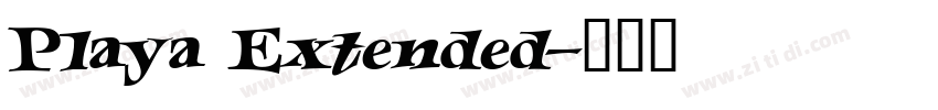 Playa Extended字体转换